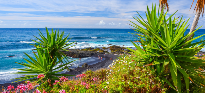 Finding the Right Property in Tenerife