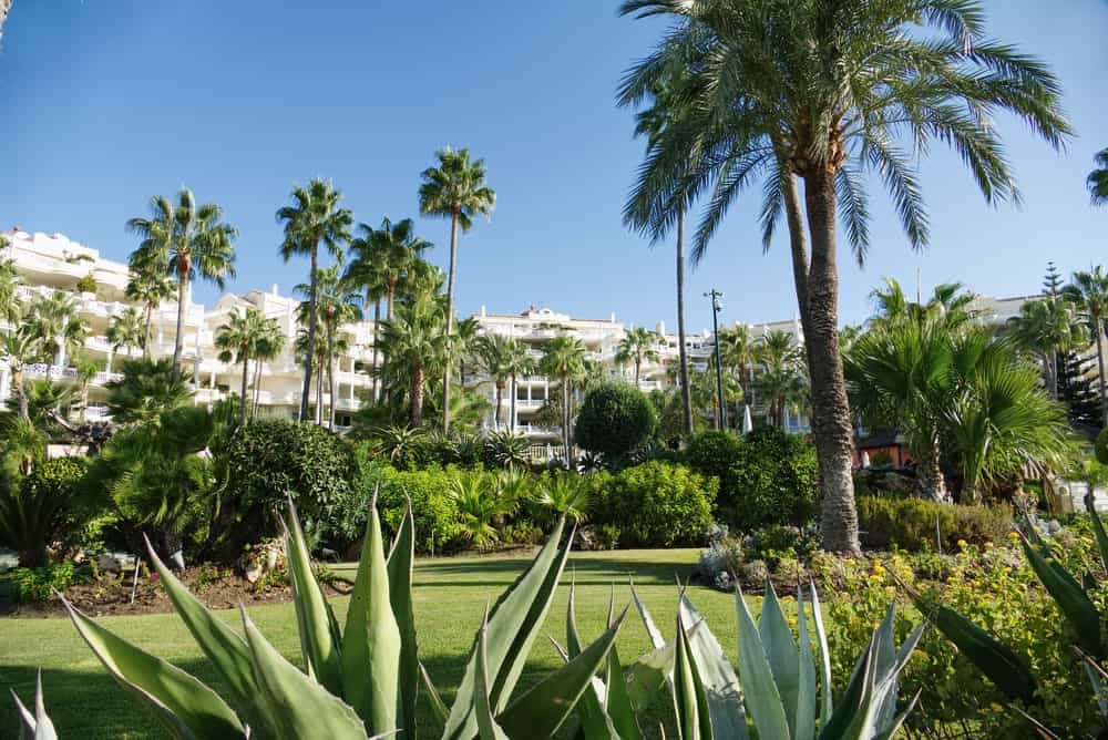 Working with a local real estate agent in Lanzarote