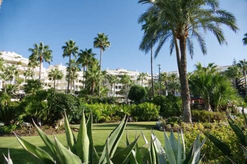 Working with a local real estate agent in Lanzarote
