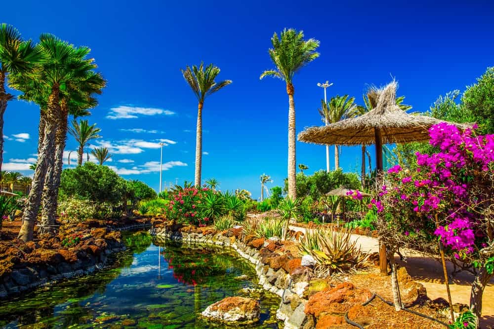 Fuerteventura Canarian Properties