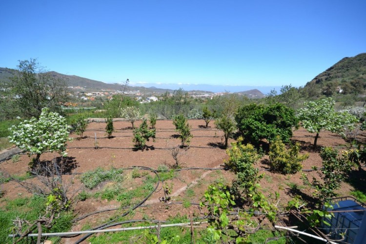 Valsequillo de Gran Canaria, LAS PALMAS, Gran Canaria - Canarian Properties