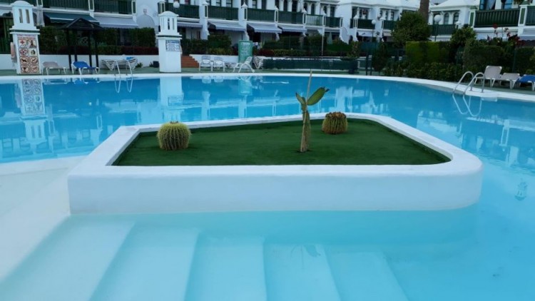 1 Bed  Villa/House to Rent, Las Palmas, Maspalomas, Gran Canaria - DI-16363 3