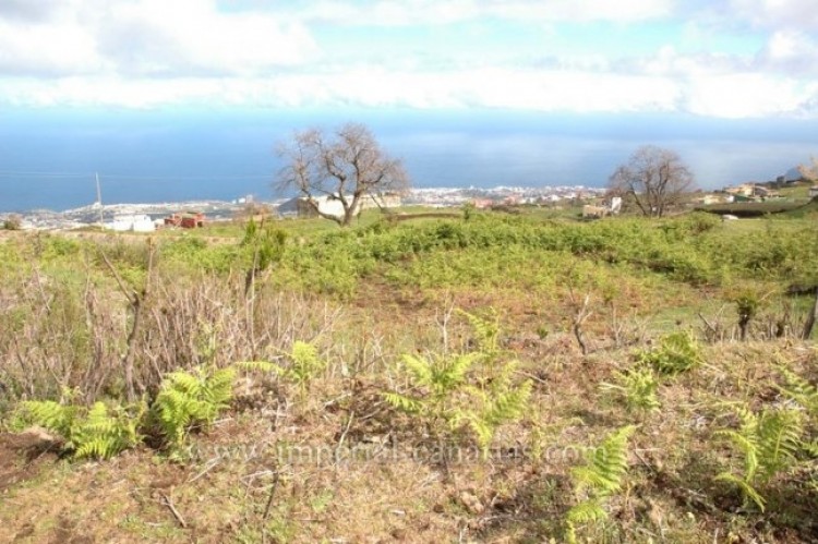 Land for Sale, La Orotava, Tenerife - IC-VTR9146 8