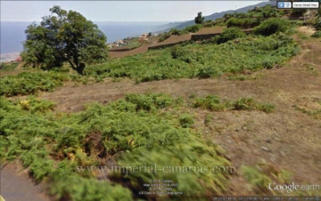  Land for Sale, La Orotava, Tenerife - IC-VTR9146
