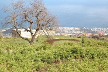  Land for Sale, La Orotava, Tenerife - IC-VTR9146