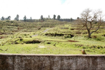  Land for Sale, La Orotava, Tenerife - IC-VTR9146