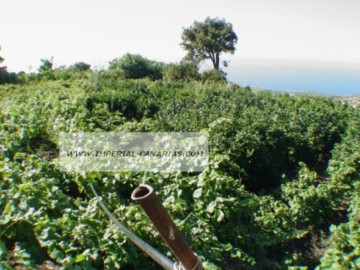  Land for Sale, La Orotava, Tenerife - IC-70513