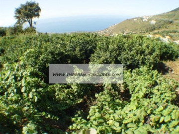  Land for Sale, La Orotava, Tenerife - IC-70513