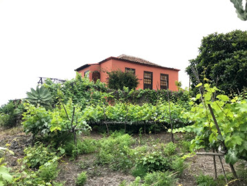 2 Bed  Villa/House for Sale, Icod de los Vinos, Tenerife - IC-VTR10501