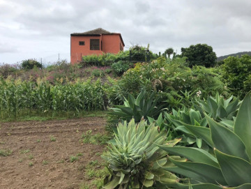 2 Bed  Villa/House for Sale, Icod de los Vinos, Tenerife - IC-VTR10501