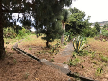 2 Bed  Villa/House for Sale, Icod de los Vinos, Tenerife - IC-VTR10501