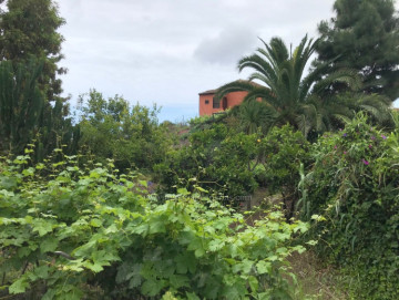 2 Bed  Villa/House for Sale, Icod de los Vinos, Tenerife - IC-VTR10501