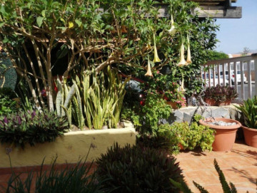 3 Bed  Villa/House for Sale, Las Palmas, Playa del Inglés, Gran Canaria - DI-16795