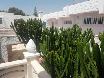 1 Bed  Flat / Apartment for Sale, Arona, Tenerife - PT-PW-277