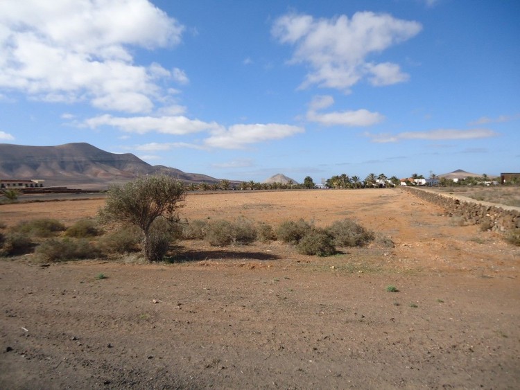 Land for Sale, Oliva, La, Las Palmas, Fuerteventura - DH-VSLOLIVATERR4-0320 1