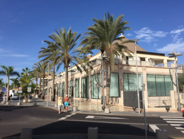  Commercial for Sale, Playa de Las Americas, Arona, Tenerife - MP-CO-306
