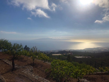 2 Bed  Villa/House for Sale, La Concepcion Adeje, Tenerife - PT-PW-288