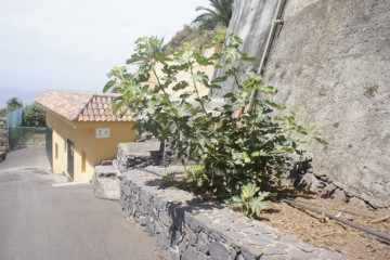  Villa/House for Sale, El Sauzal, Tenerife - IC-VTR10709