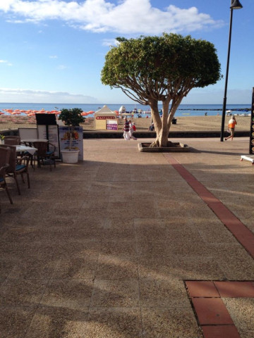 1 Bed  Commercial to Rent, Tenerife - PT-PW-321