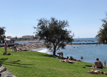 1 Bed  Commercial to Rent, Santa Cruz de Tenerife, Tenerife - PT-PW-328