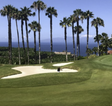 1 Bed  Land for Sale, Canarias, Spain, Tenerife, Gran Canaria - PT-PW-331