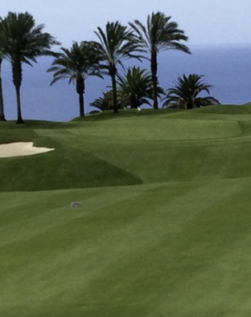 1 Bed  Land for Sale, Canarias, Spain, Tenerife, Gran Canaria - PT-PW-331