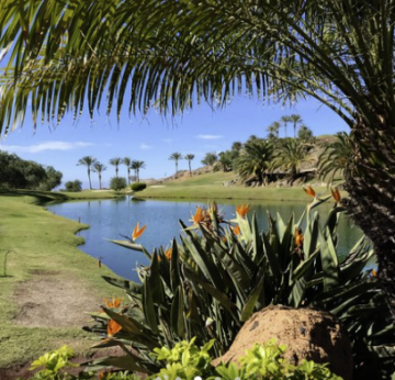 1 Bed  Land for Sale, Canarias, Spain, Tenerife, Gran Canaria - PT-PW-331