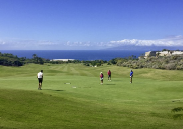 1 Bed  Land for Sale, Tenerife - PT-PW-332