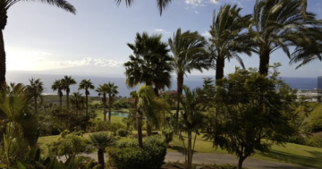 1 Bed  Land for Sale, Tenerife - PT-PW-332