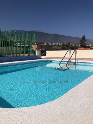1 Bed  Flat / Apartment to Rent, Puerto de la Cruz, Tenerife - IC-AAP10794