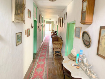 5 Bed  Commercial for Sale, La Orotava, Tenerife - IC-VCH10947