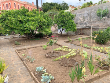 5 Bed  Commercial for Sale, La Orotava, Tenerife - IC-VCH10947
