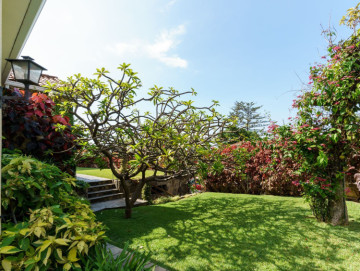 5 Bed  Villa/House for Sale, Puerto de la Cruz, Santa Cruz de Tenerife, Tenerife - PR-CHA0098VDV