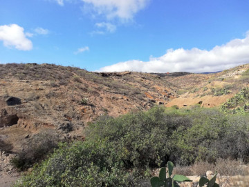  Country House/Finca for Sale, Arico, Santa Cruz de Tenerife, Tenerife - PR-RUS0018VSS