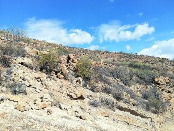  Country House/Finca for Sale, Arico, Santa Cruz de Tenerife, Tenerife - PR-RUS0018VSS