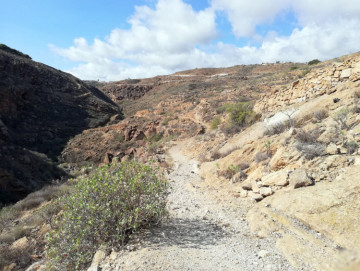  Country House/Finca for Sale, Arico, Santa Cruz de Tenerife, Tenerife - PR-RUS0018VSS