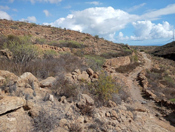  Country House/Finca for Sale, Arico, Santa Cruz de Tenerife, Tenerife - PR-RUS0018VSS