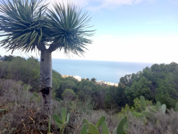  Country House/Finca for Sale, San Cristóbal de La Laguna, Santa Cruz de Tenerife, Tenerife - PR-RUS0019VSS