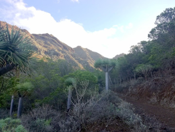  Country House/Finca for Sale, San Cristóbal de La Laguna, Santa Cruz de Tenerife, Tenerife - PR-RUS0019VSS