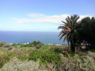  Country House/Finca for Sale, San Cristóbal de La Laguna, Santa Cruz de Tenerife, Tenerife - PR-RUS0019VSS