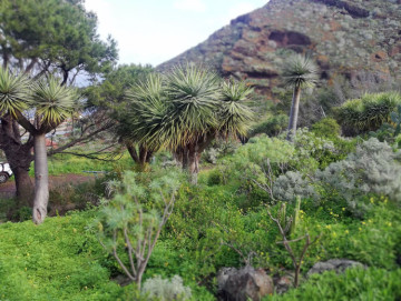  Country House/Finca for Sale, San Cristóbal de La Laguna, Santa Cruz de Tenerife, Tenerife - PR-RUS0019VSS