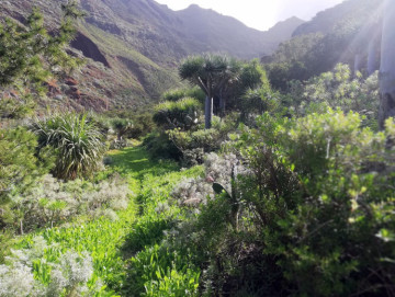  Country House/Finca for Sale, San Cristóbal de La Laguna, Santa Cruz de Tenerife, Tenerife - PR-RUS0019VSS