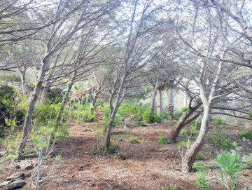  Country House/Finca for Sale, San Cristóbal de La Laguna, Santa Cruz de Tenerife, Tenerife - PR-RUS0019VSS