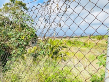  Land for Sale, La Orotava, Tenerife - IC-VTU11067