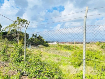  Land for Sale, La Orotava, Tenerife - IC-VTU11067