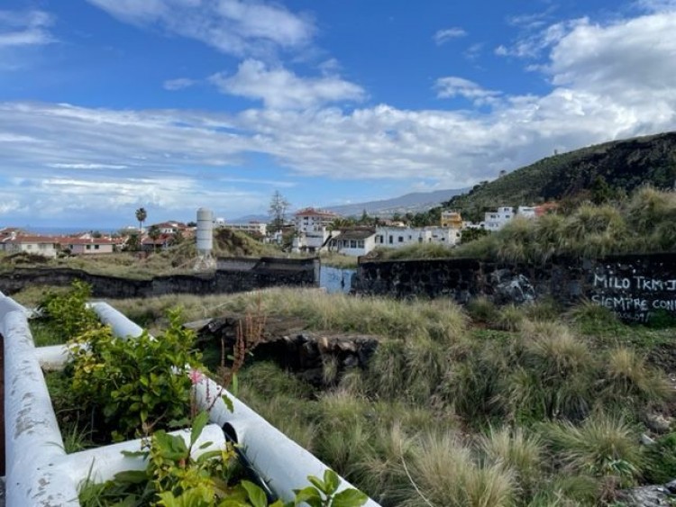 Puerto de la Cruz, Santa Cruz de Tenerife, Tenerife - Canarian Properties