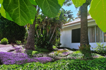 4 Bed  Villa/House for Sale, Bungalows Tajuya, Los Llanos, La Palma - LP-L616