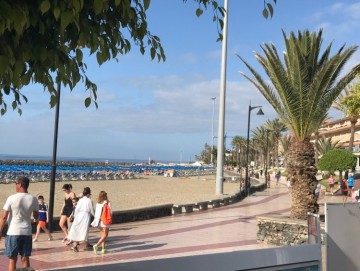  Commercial for Sale, Los Cristianos, Arona, Tenerife - MP-CO-083