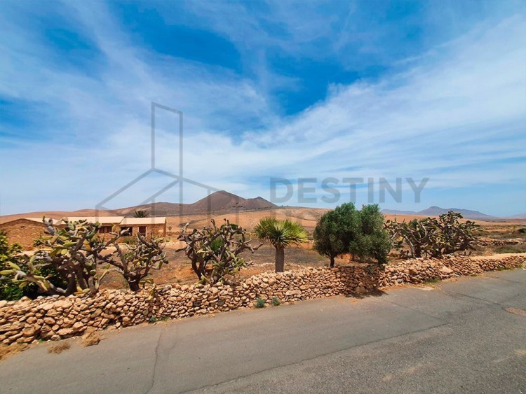 Land for Sale, Tuineje, Las Palmas, Fuerteventura - DH-XVPTPCTIS4930-0522 10
