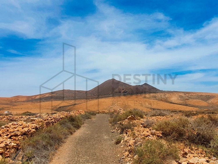 Land for Sale, Tuineje, Las Palmas, Fuerteventura - DH-XVPTPCTIS4930-0522 13